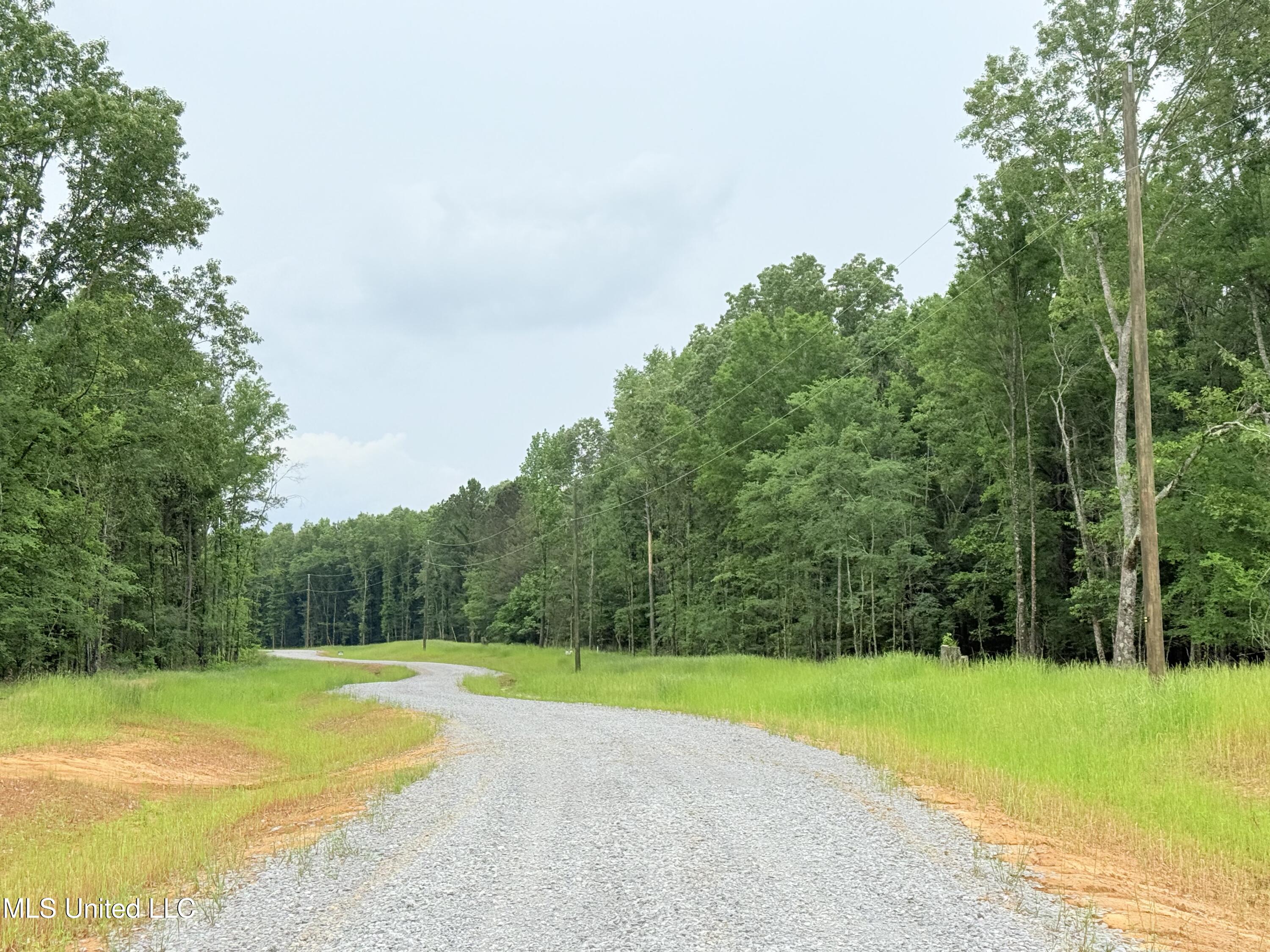 Stout Meadows Lane, Madison, Mississippi image 9