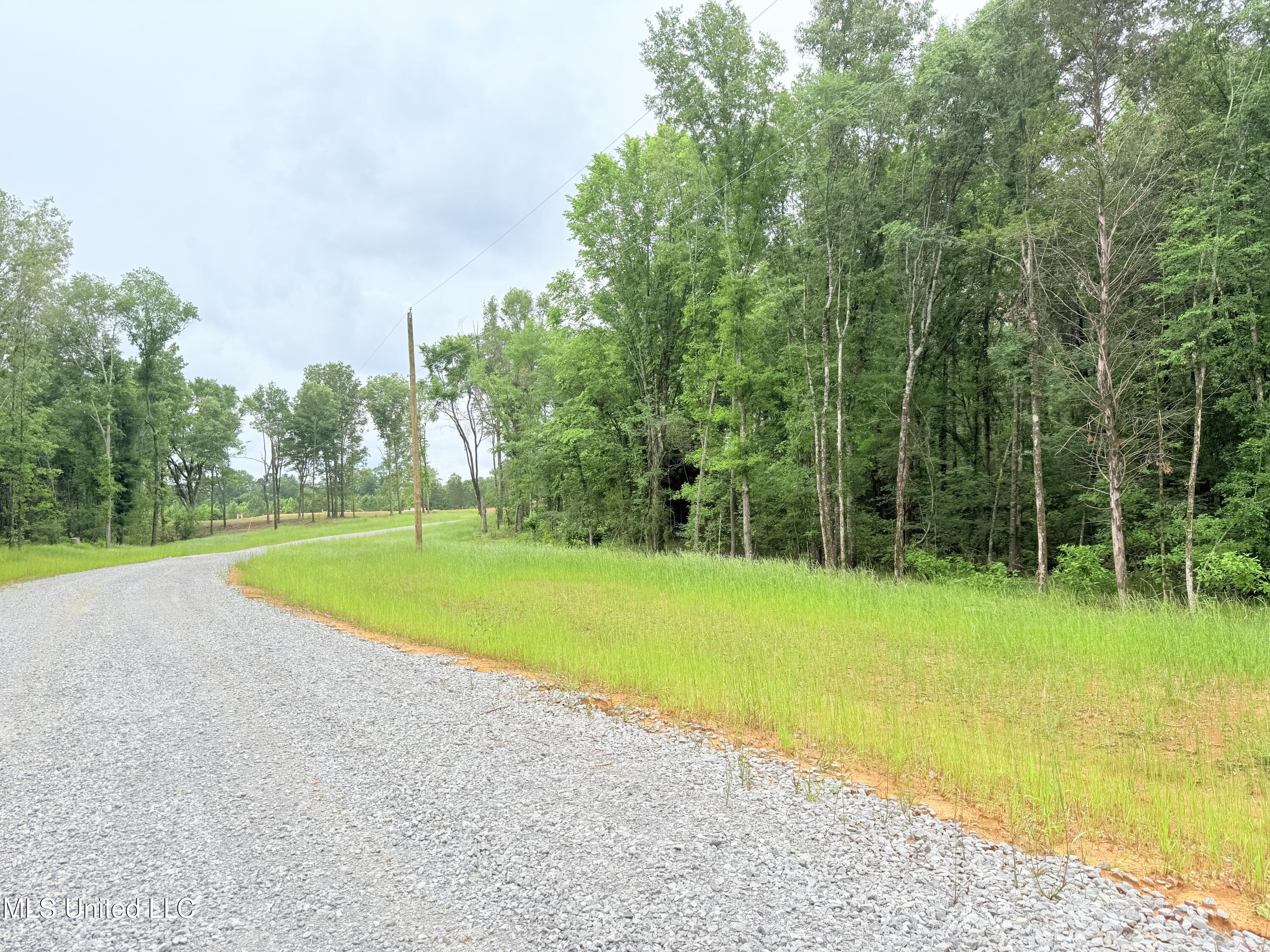 Stout Meadows Lane, Madison, Mississippi image 10