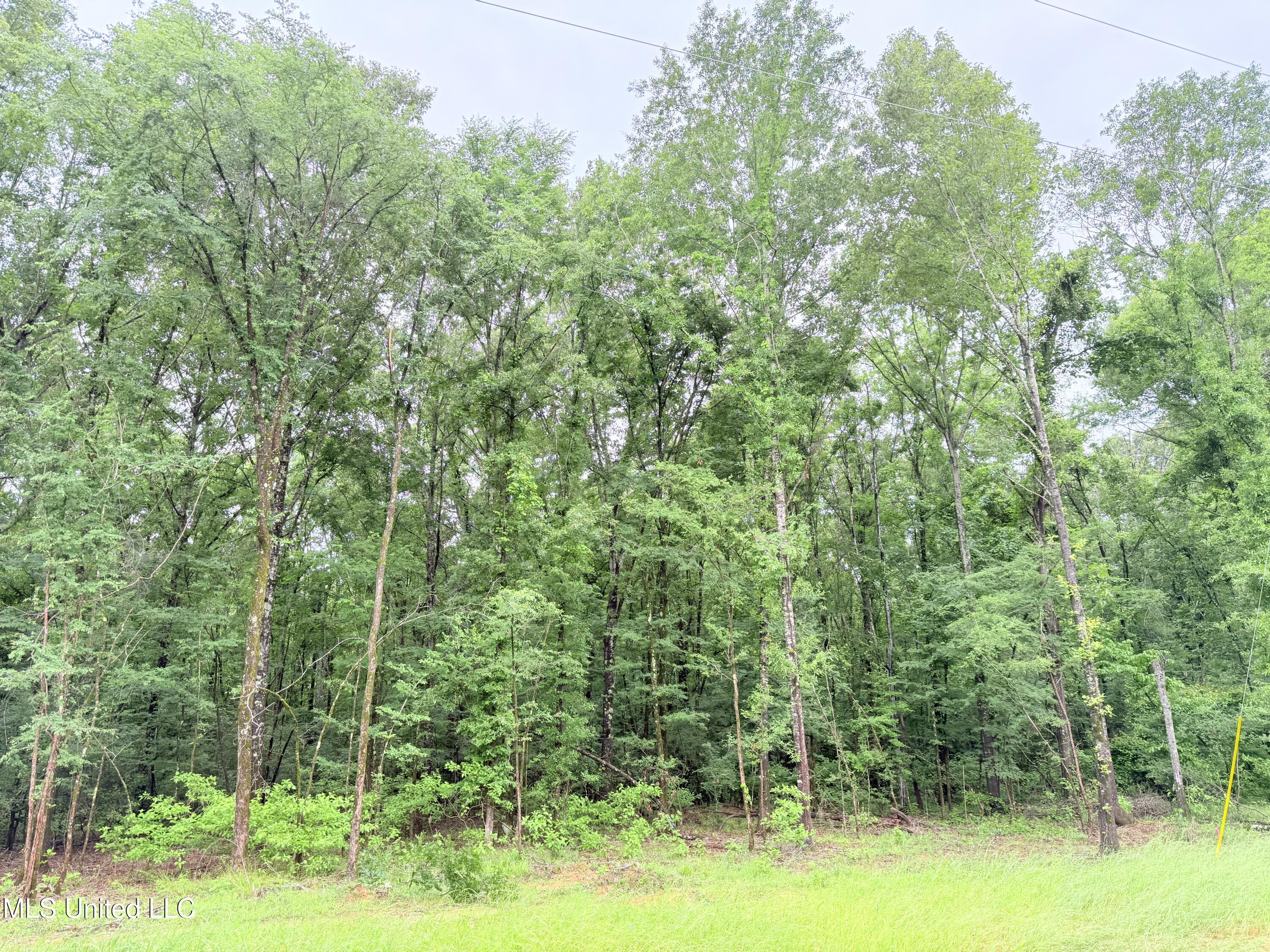 Stout Meadows Lane, Madison, Mississippi image 5