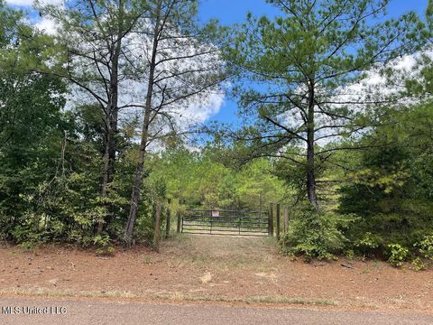 Vacant Land For Sale - 513 Brownlee Road<br/> Sarah, MS 38665
