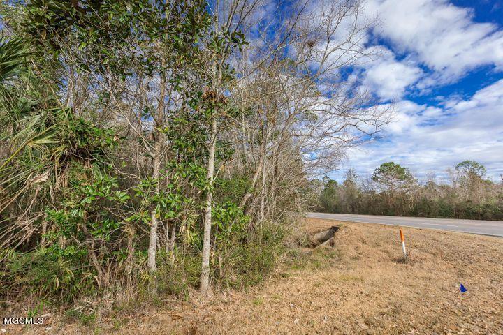 Nhn Lemoyne Boulevard, Biloxi, Mississippi image 2