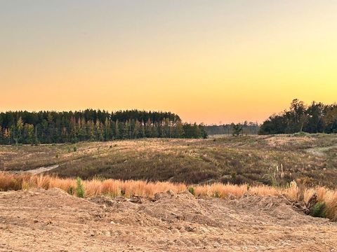 Vacant Land For Sale - PARCEL 5 Firehouse Road<br/> Amite County, Liberty, MS 39645