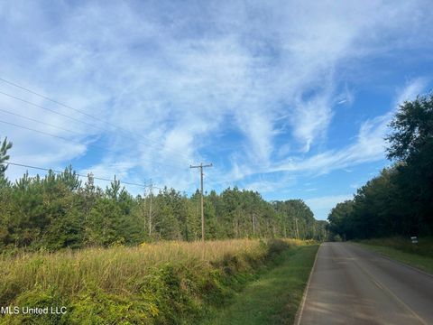 Vacant Land For Sale - N River Road<br/> Pike County, Summit, MS 39666