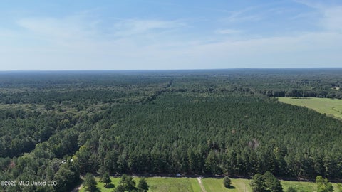 Vacant Land For Sale - Davis Road<br/> Morton, MS 39117