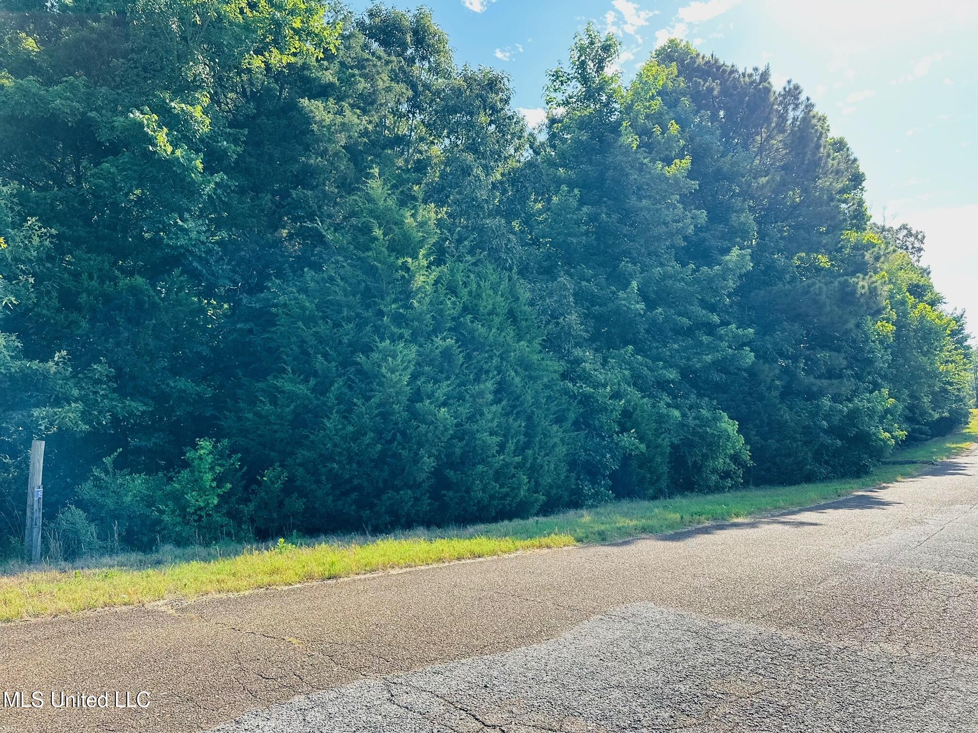 Lot 8-9 Hammond Hills Estates, Senatobia, Mississippi image 2