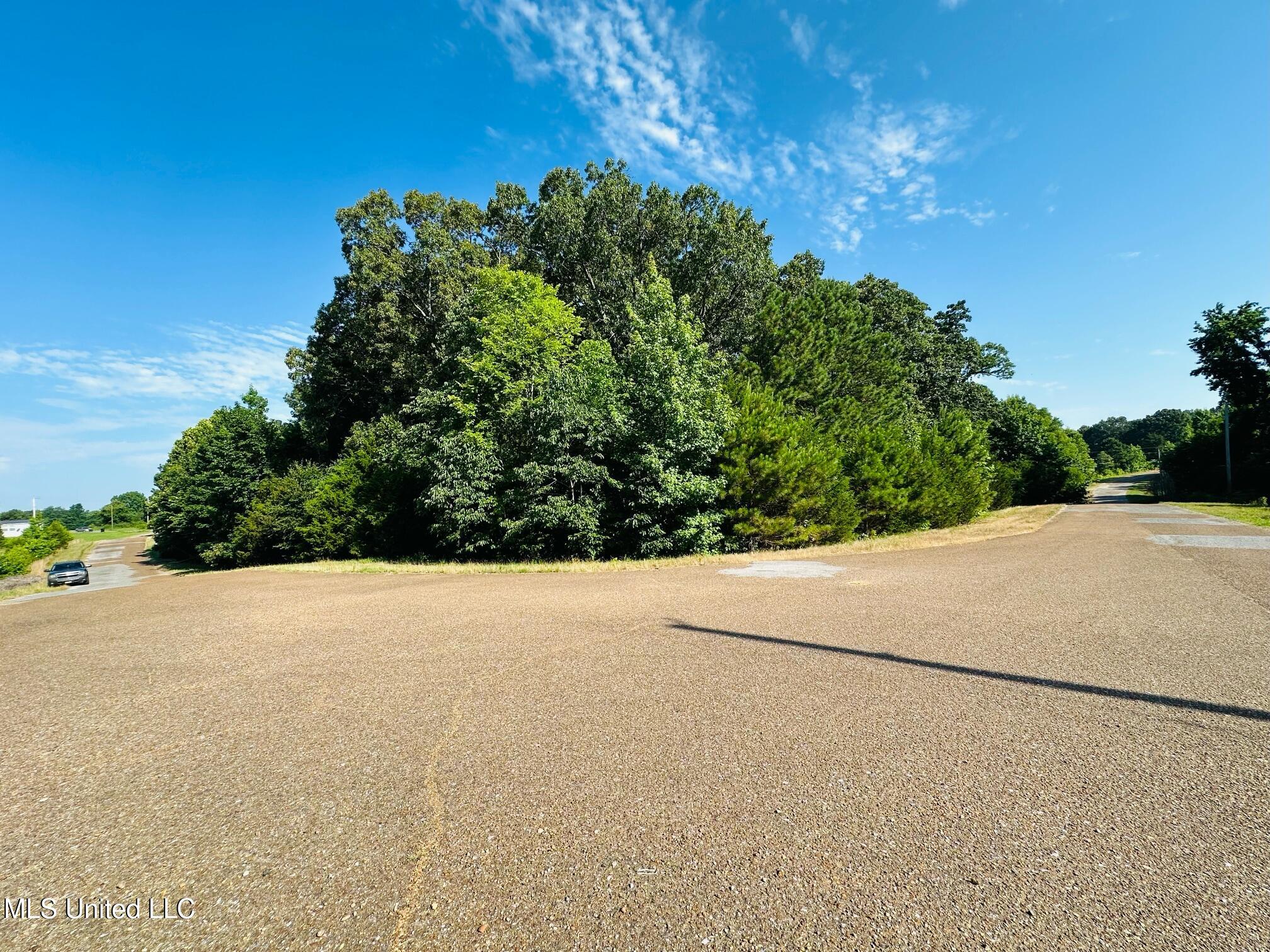 Lot 8-9 Hammond Hills Estates, Senatobia, Mississippi image 1