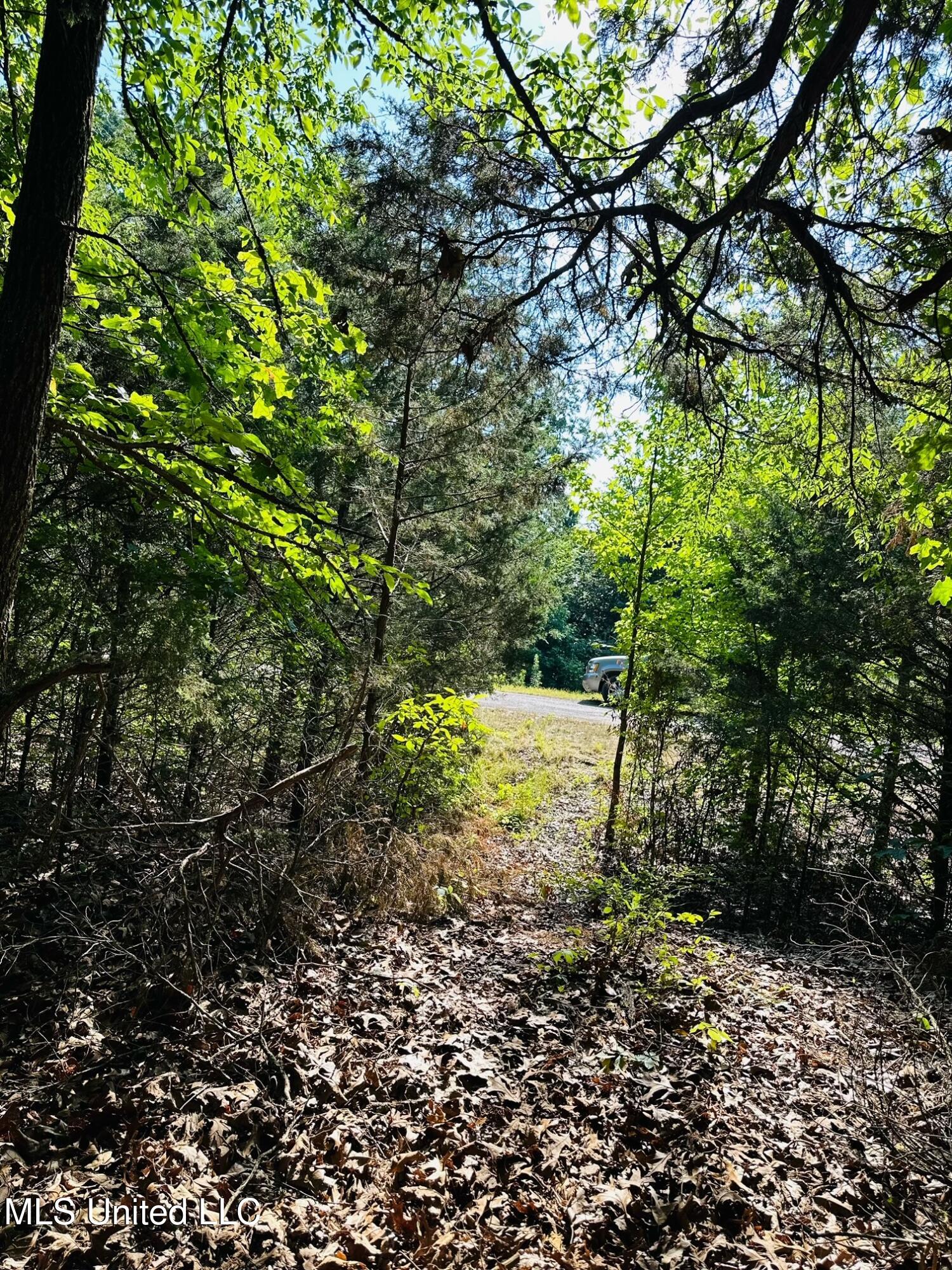 Lot 8-9 Hammond Hills Estates, Senatobia, Mississippi image 4