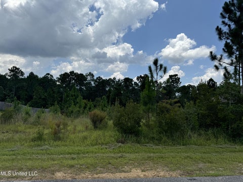 Vacant Land For Sale - Lot 115 Longwood Lane<br/> Gulfport, MS 39503