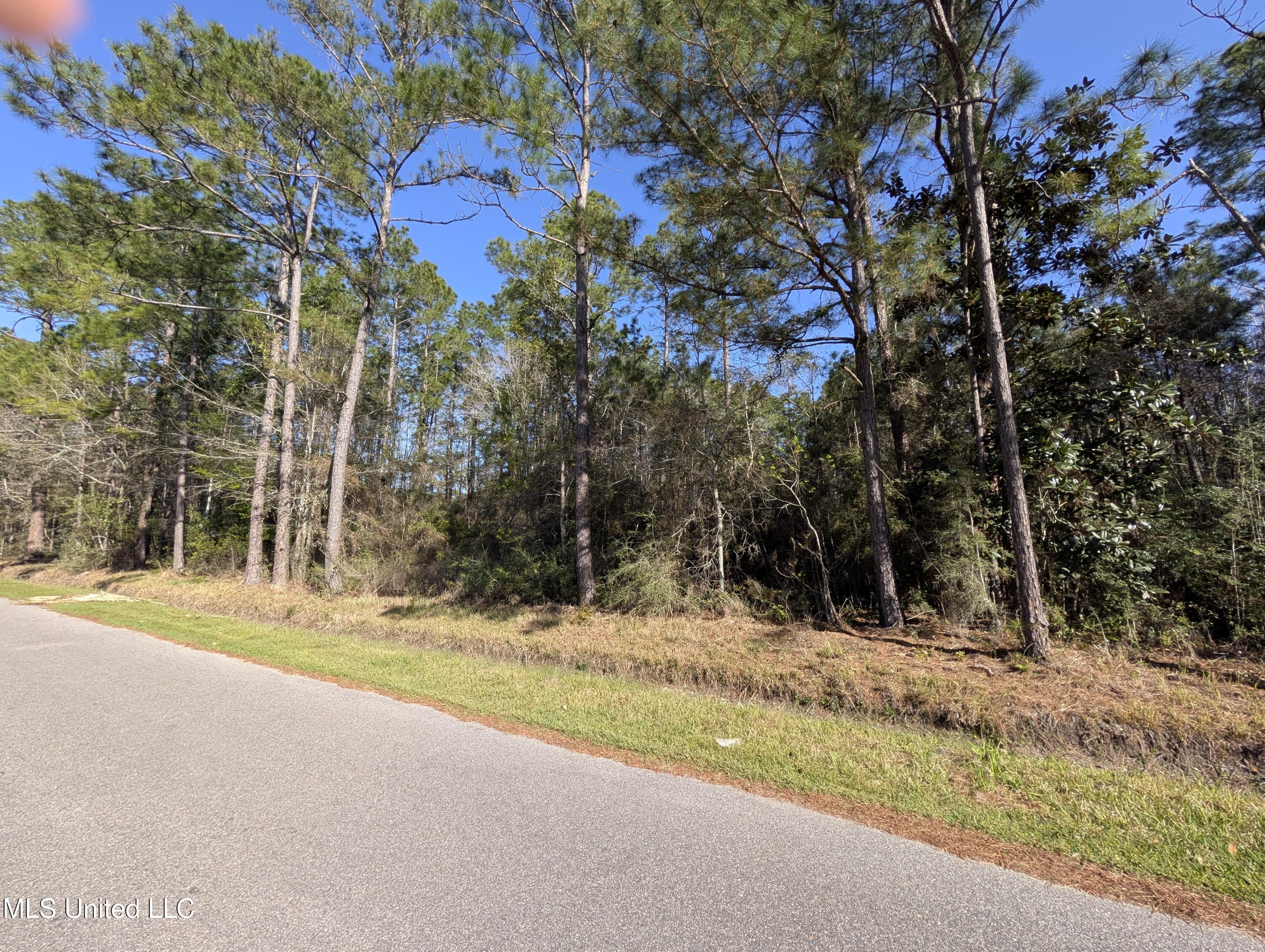 W Clay   Lot 38 Street, Bay Saint Louis, Mississippi image 1