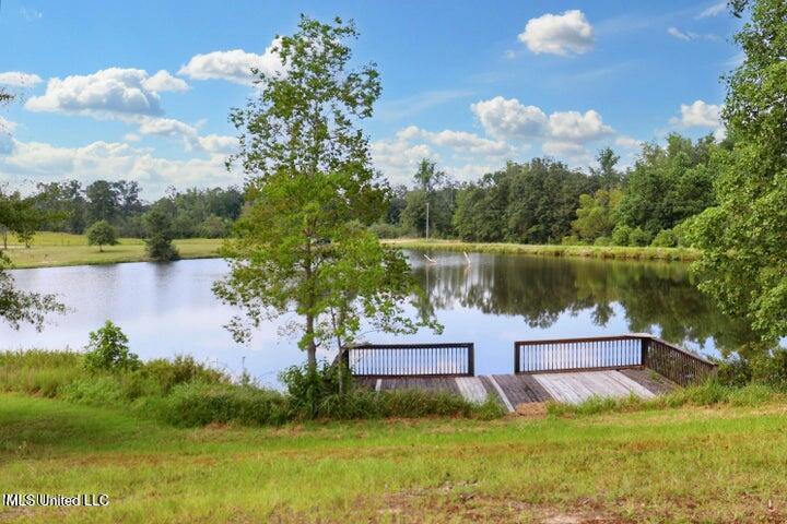 157 Idian Springs Spgs, Poplarville, Mississippi image 6