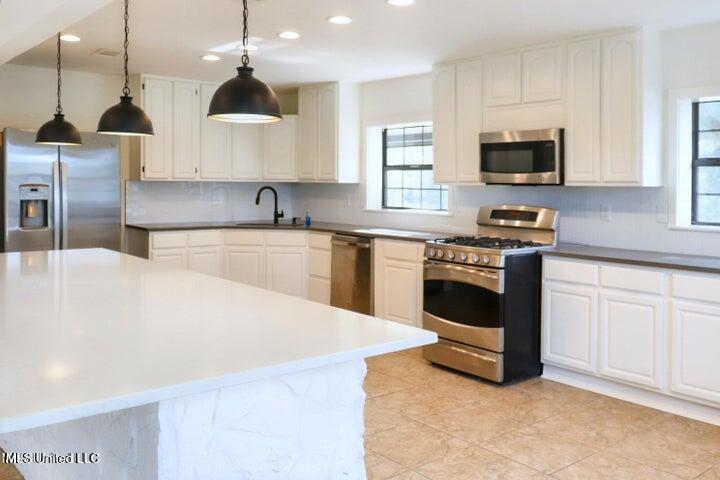 157 Idian Springs Spgs, Poplarville, Mississippi image 25