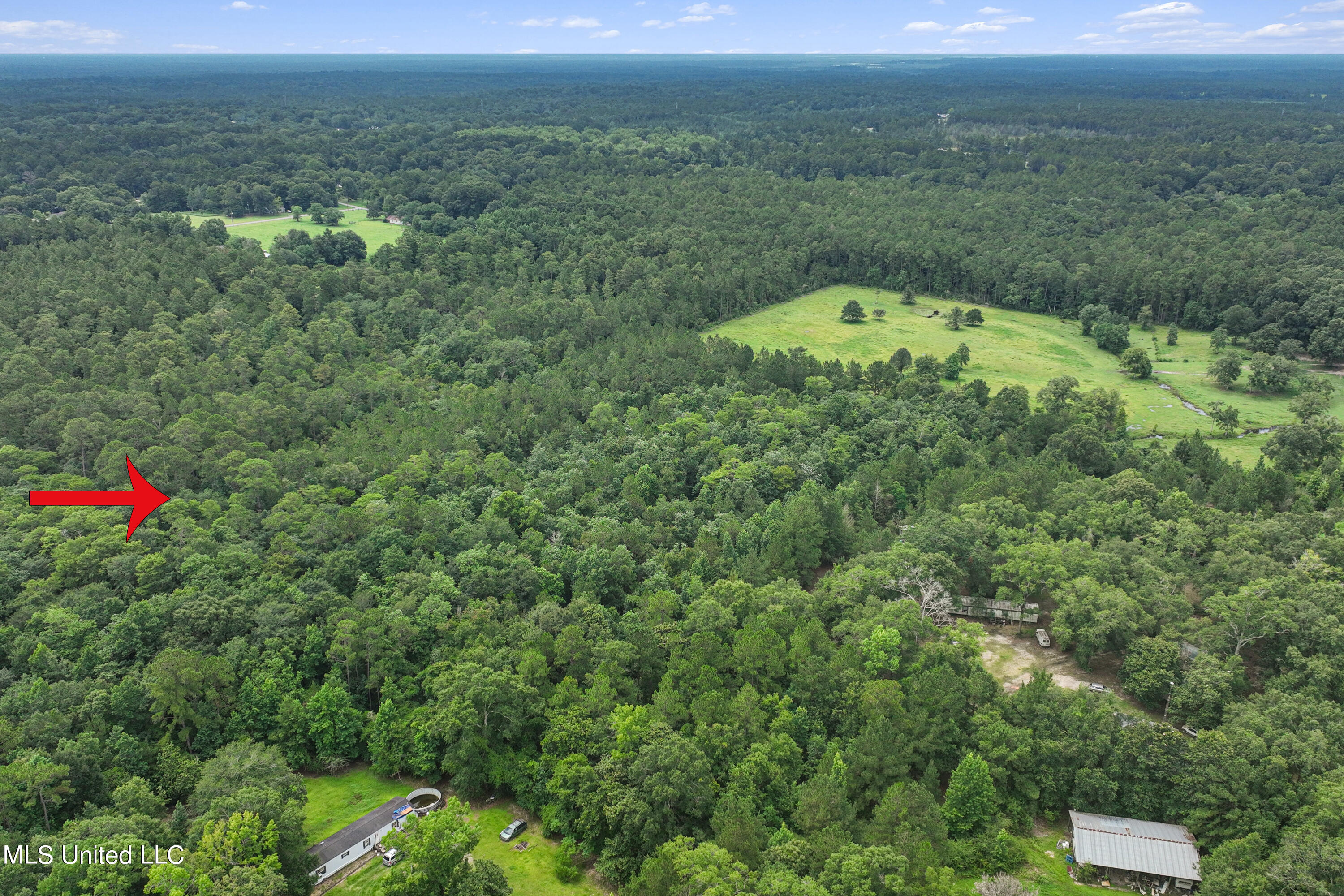 Gene Acres Lane, Vancleave, Mississippi image 12