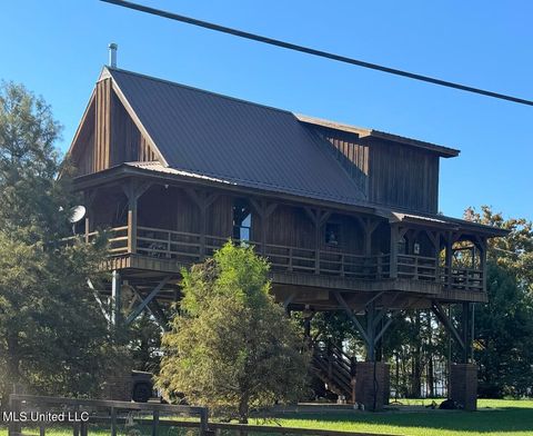 Homes For Sale - 4011 Lake Mary Road<br/> Wilkinson County, Woodville, MS 39669