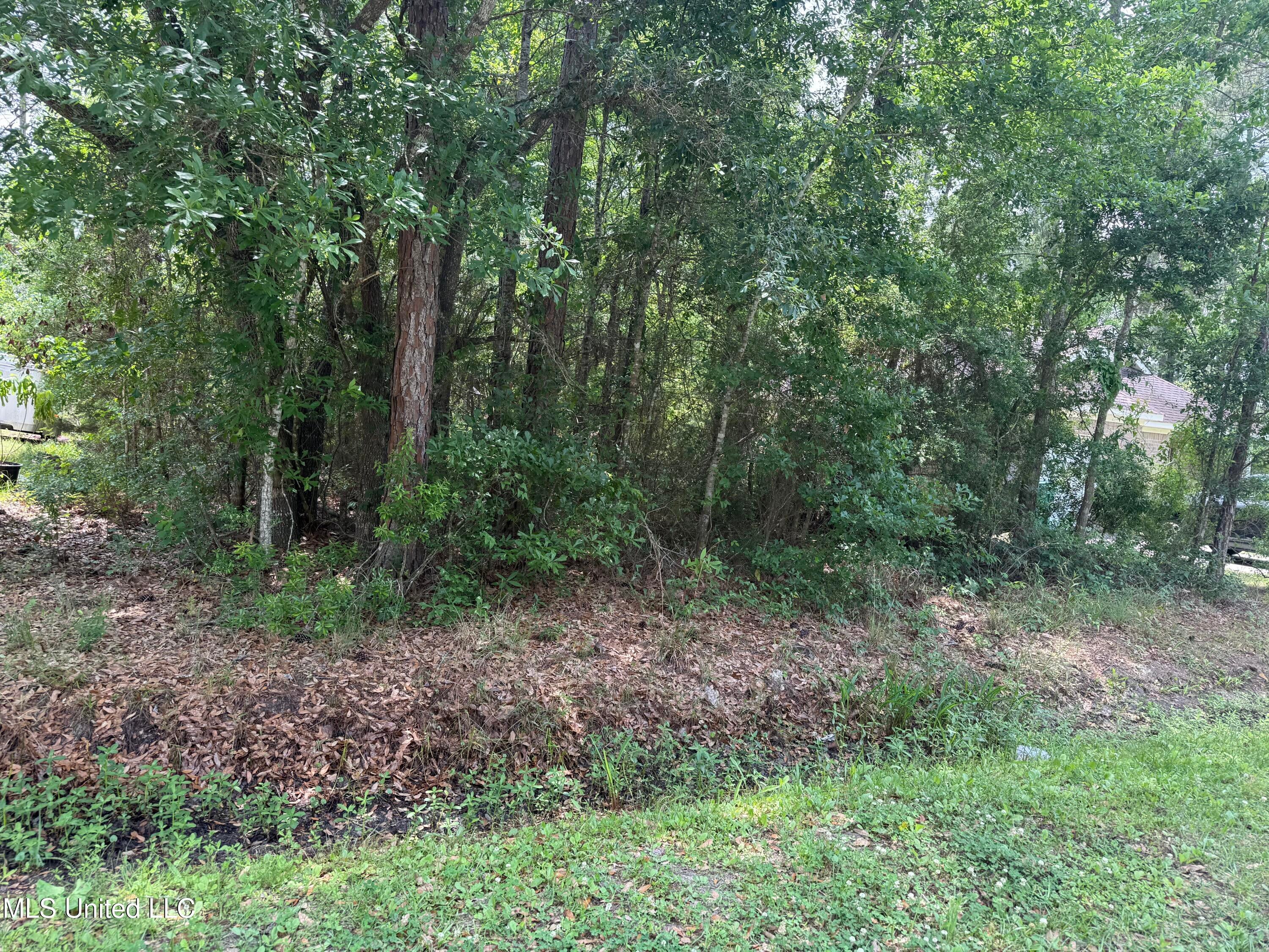 Photo 1 of 3 — E Jackson Street, Bay Saint Louis, MS 39520