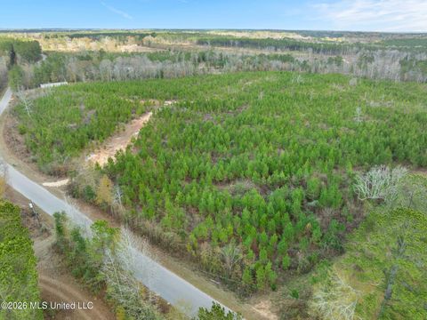 Vacant Land For Sale - 83.50 ACRE Carter Guthrie Road<br/> Moselle, MS 39459