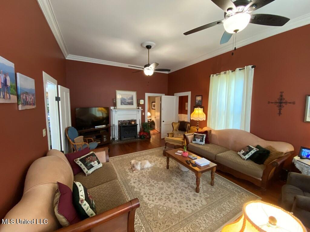 209 Downing Street, Hazlehurst, Mississippi image 4
