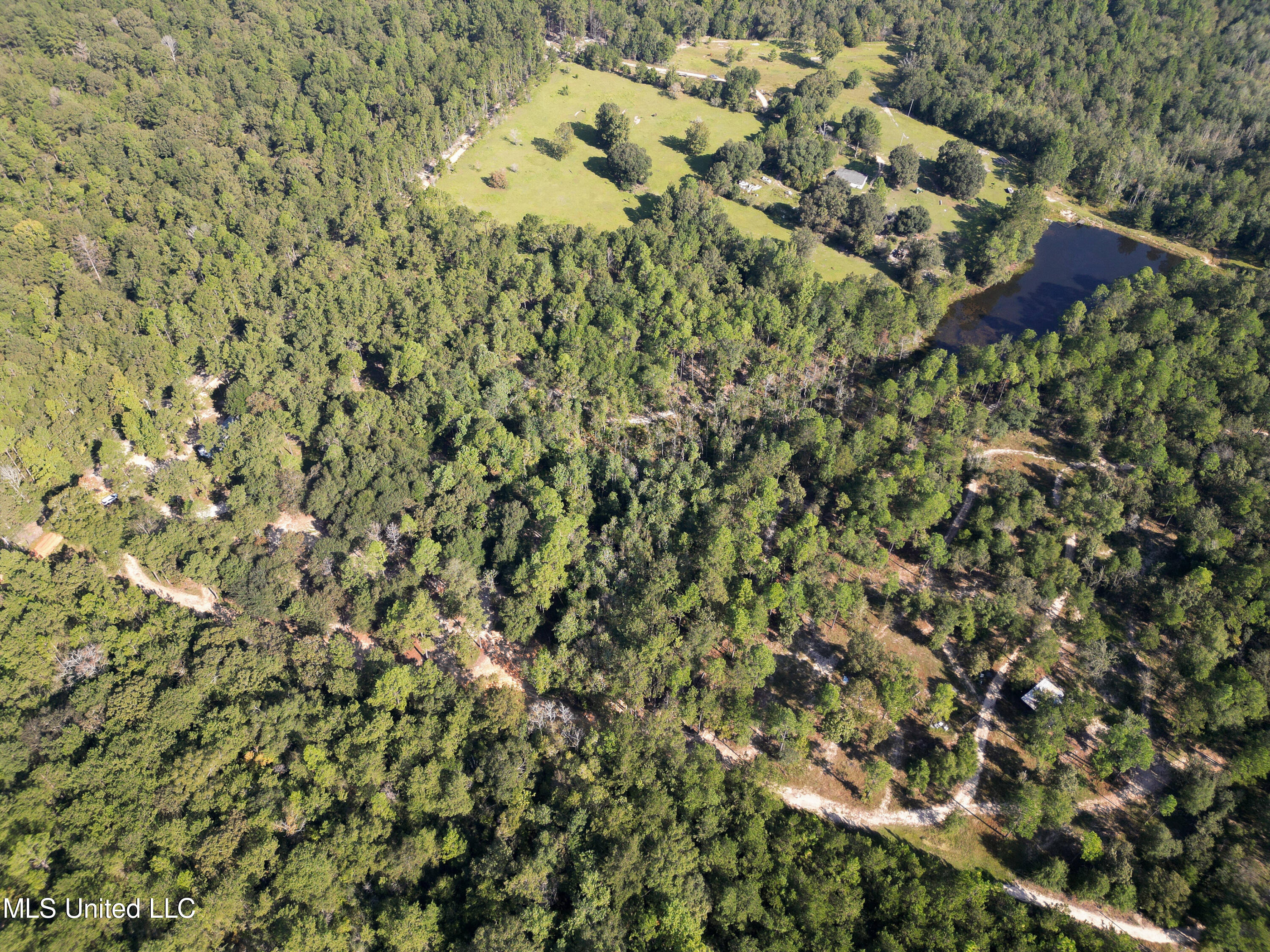 Ben Pierce Lane Lot A, Lucedale, Mississippi image 2