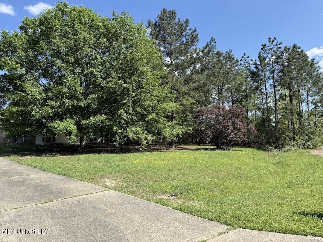 25 Brielle Lane, Wiggins, Mississippi image 7