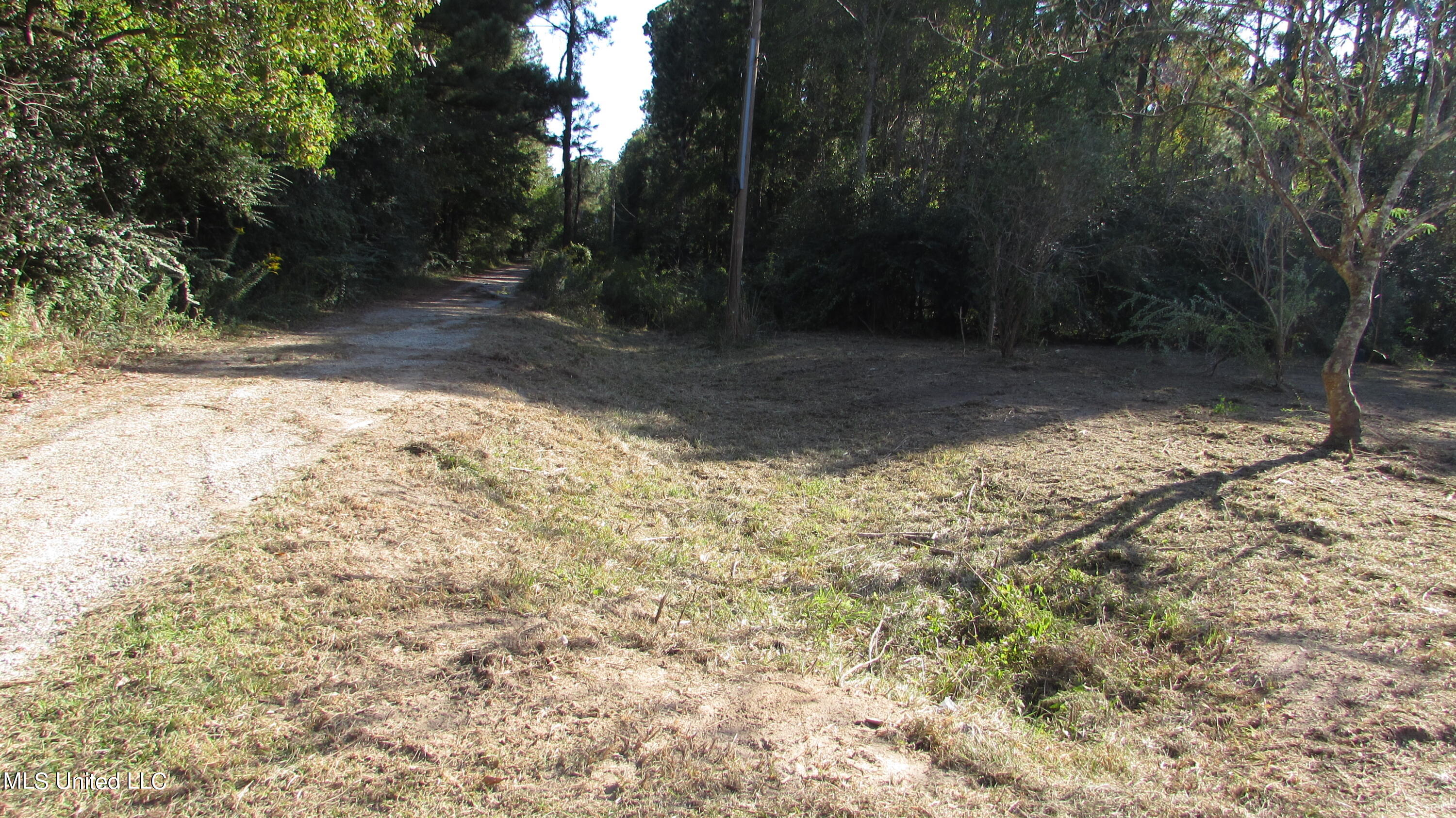 22425 Freddie Frank Road, Long Beach, Mississippi image 8