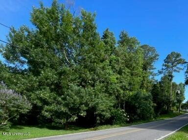 Shore Drive, Ocean Springs, Mississippi image 1