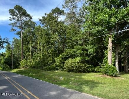 Shore Drive, Ocean Springs, Mississippi image 4