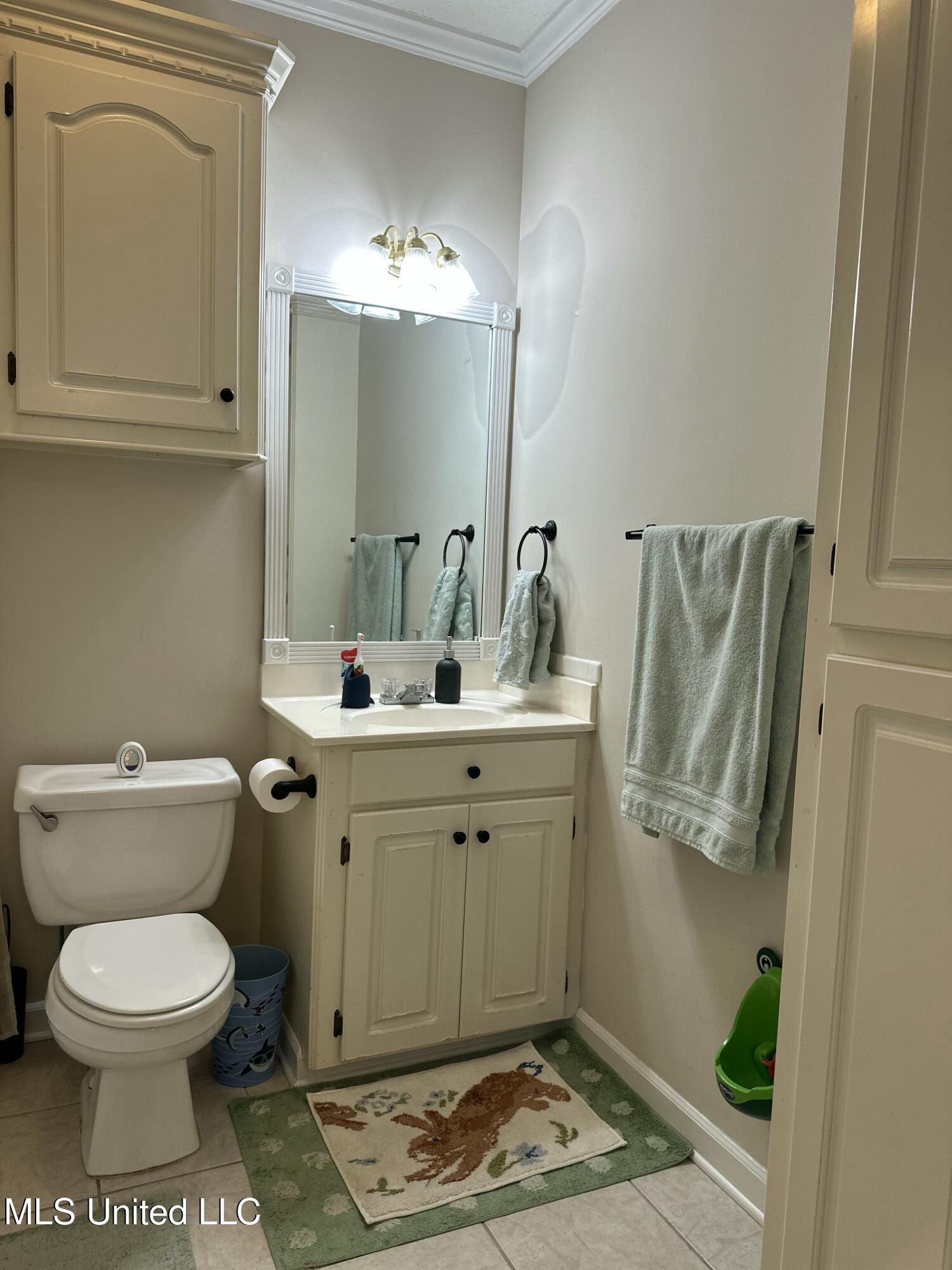 507 Plum Grove, Brandon, Mississippi image 10