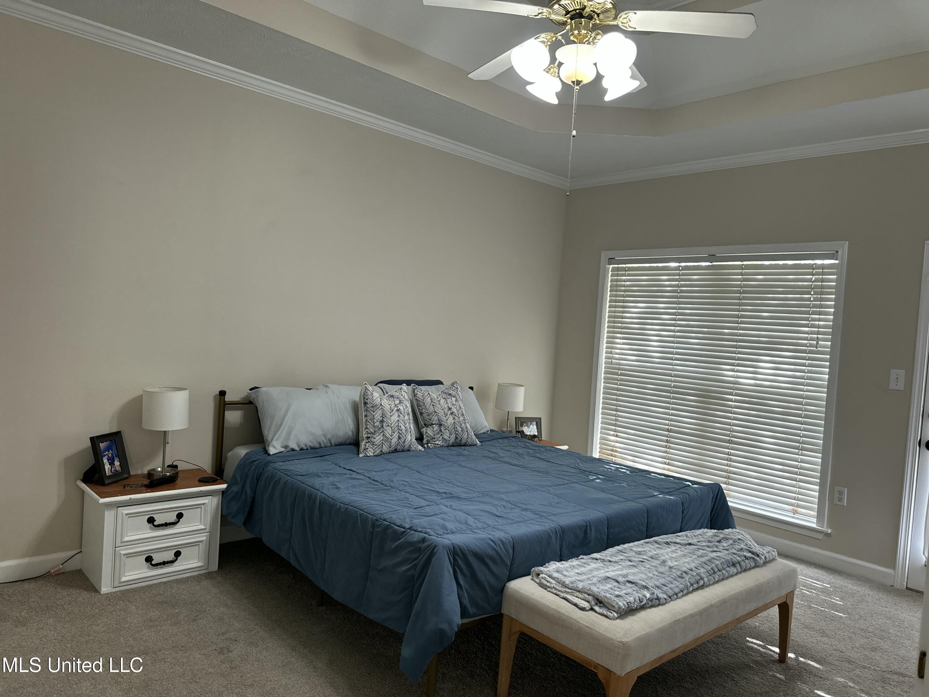 507 Plum Grove, Brandon, Mississippi image 39