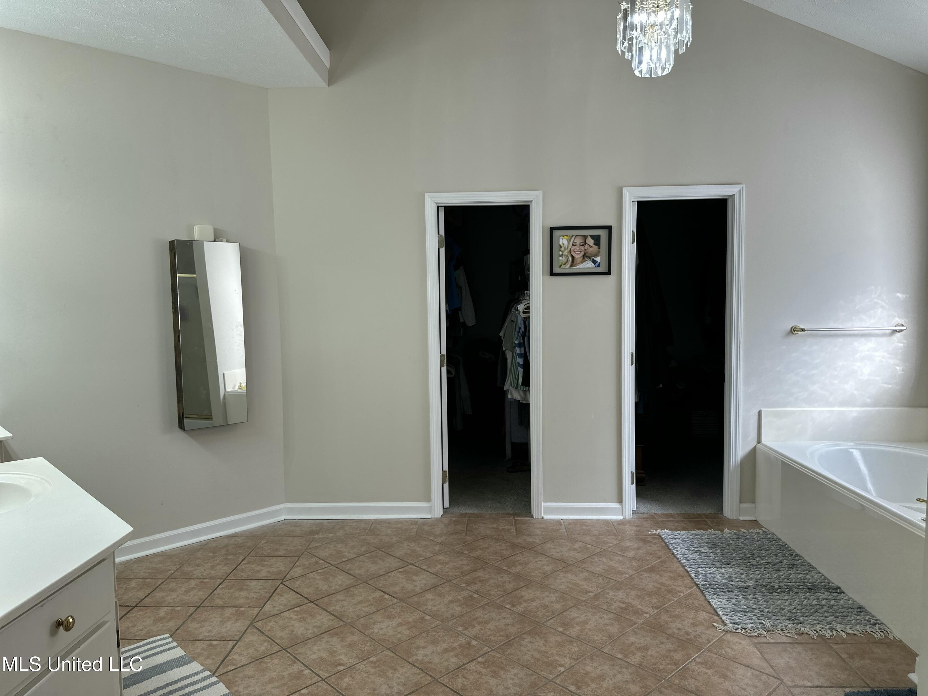 507 Plum Grove, Brandon, Mississippi image 44