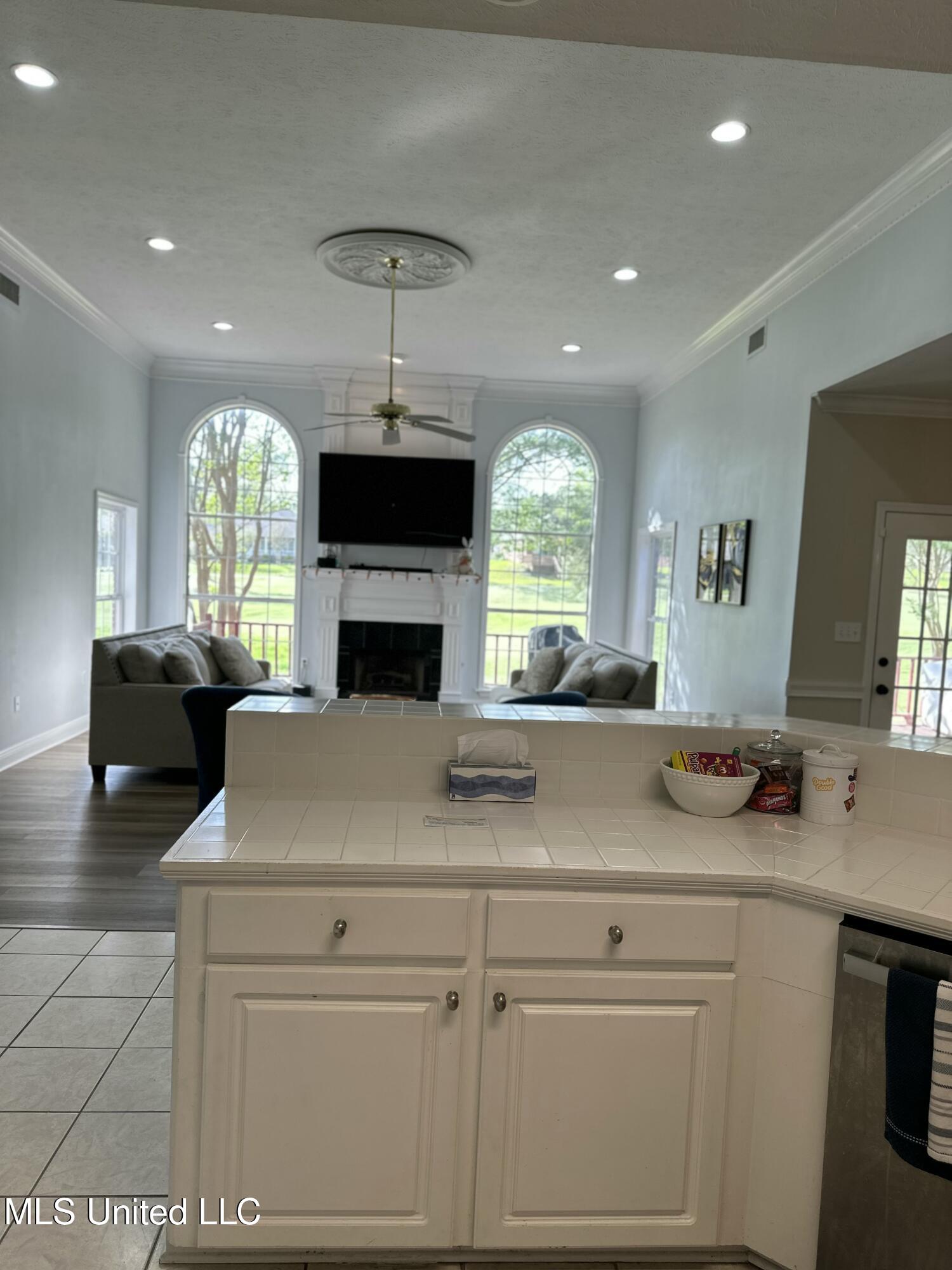 507 Plum Grove, Brandon, Mississippi image 24