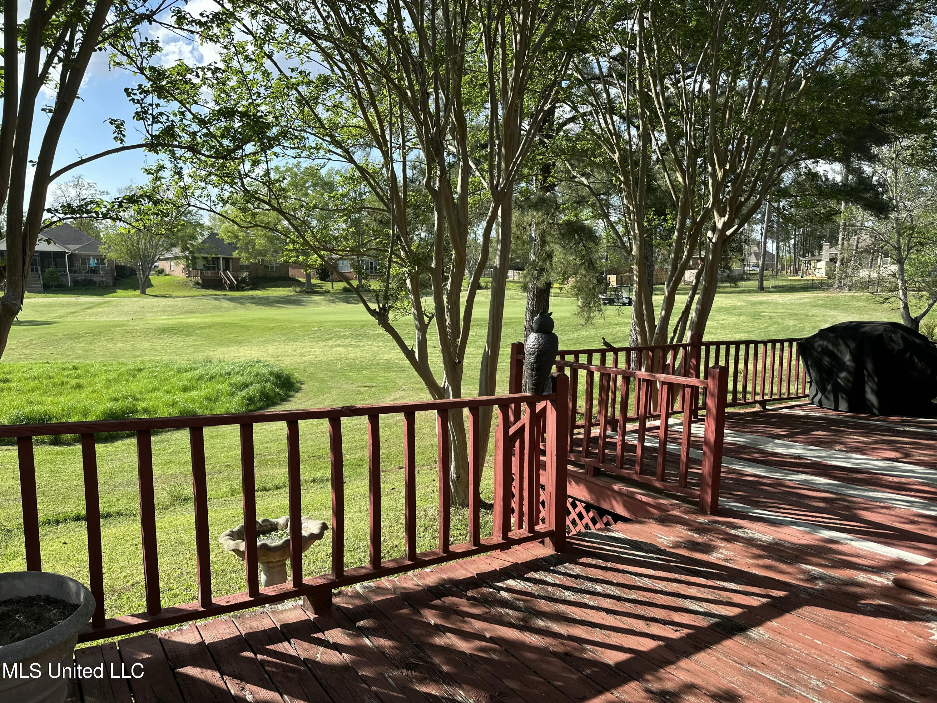 507 Plum Grove, Brandon, Mississippi image 5