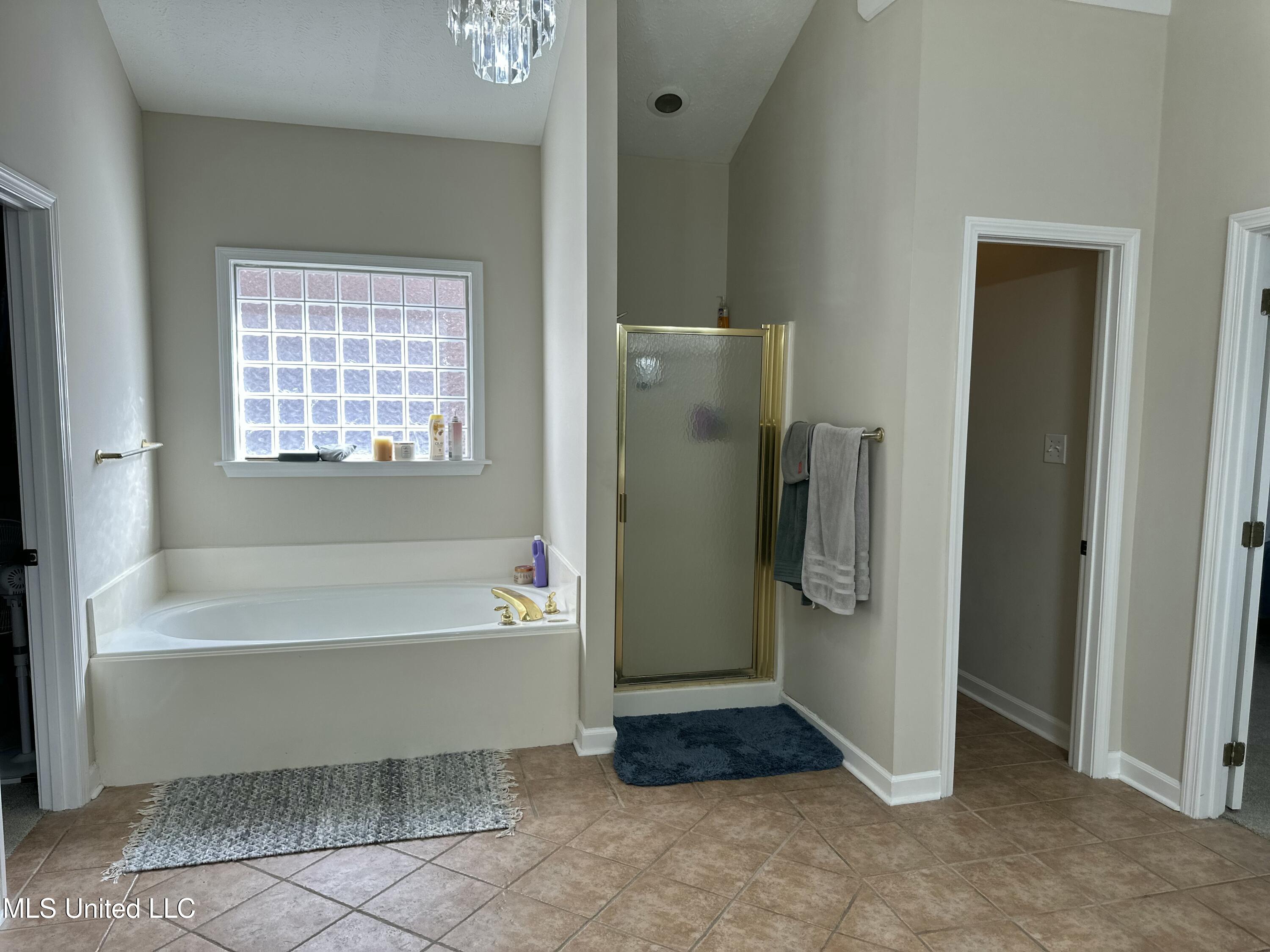 507 Plum Grove, Brandon, Mississippi image 47