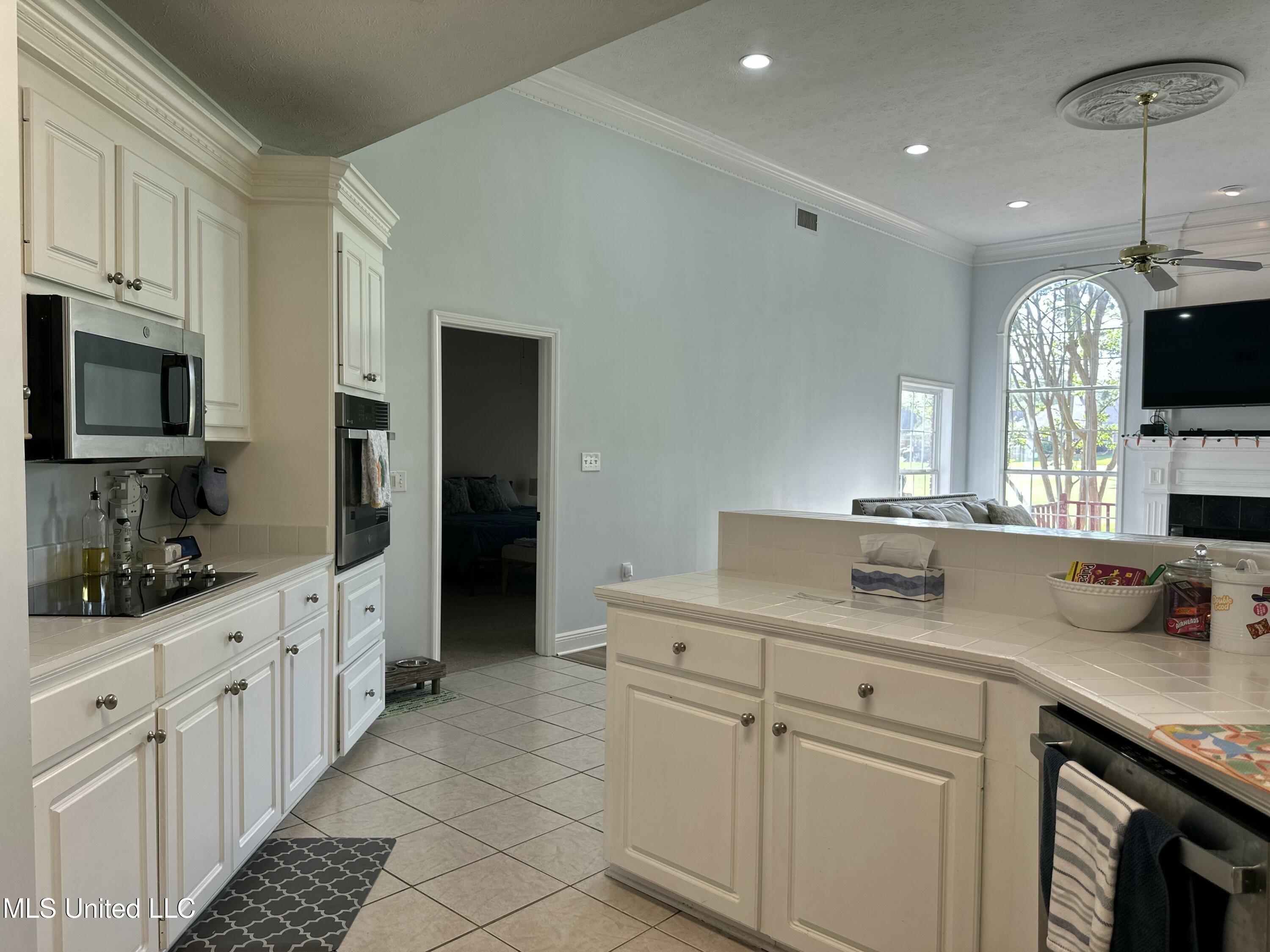 507 Plum Grove, Brandon, Mississippi image 20