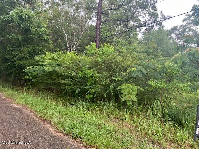 Allen Road, Gulfport, Mississippi image 3