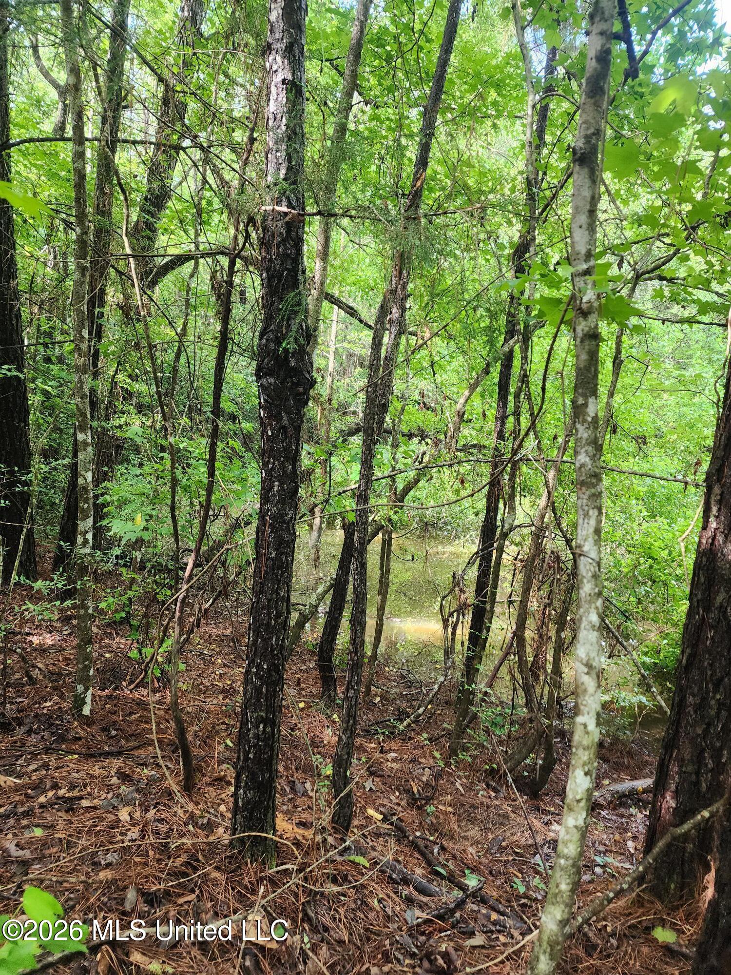 1 Acre Charlie Daughdrill Road