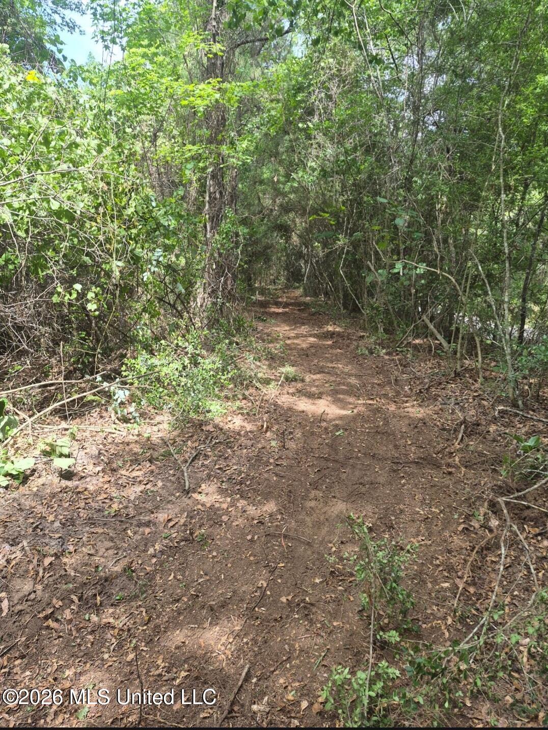 1 Acre Charlie Daughdrill Road