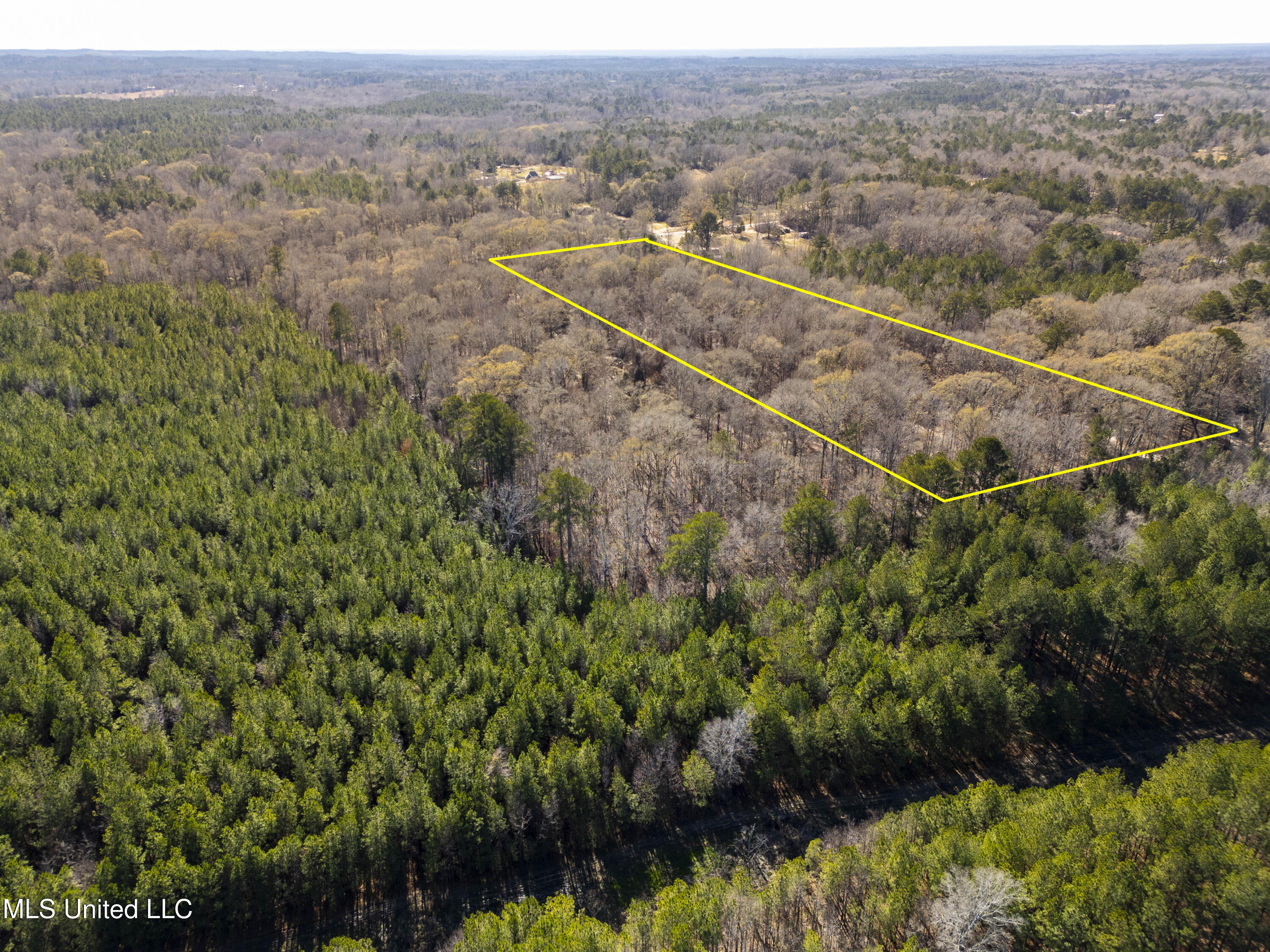Old Enochs Road, Florence, Mississippi image 10