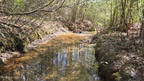 Vacant Land For Sale - SE Gill Drive<br/> Brookhaven, MS 39601