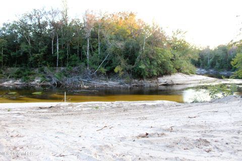 Vacant Land For Sale - 76 ACRES Highway 612<br/> Lucedale, MS 39452