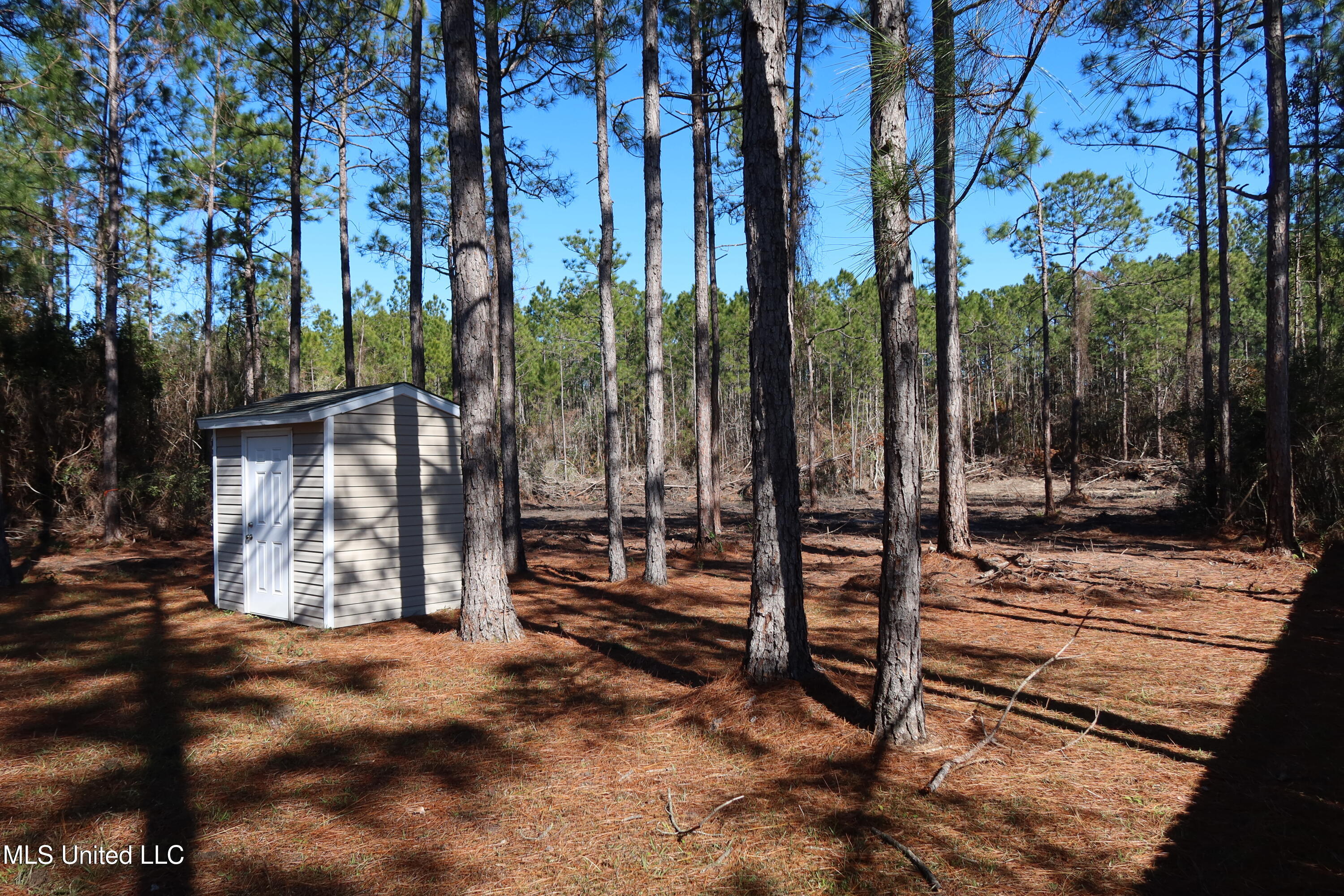 10904 Carolina Cove, Vancleave, Mississippi image 6