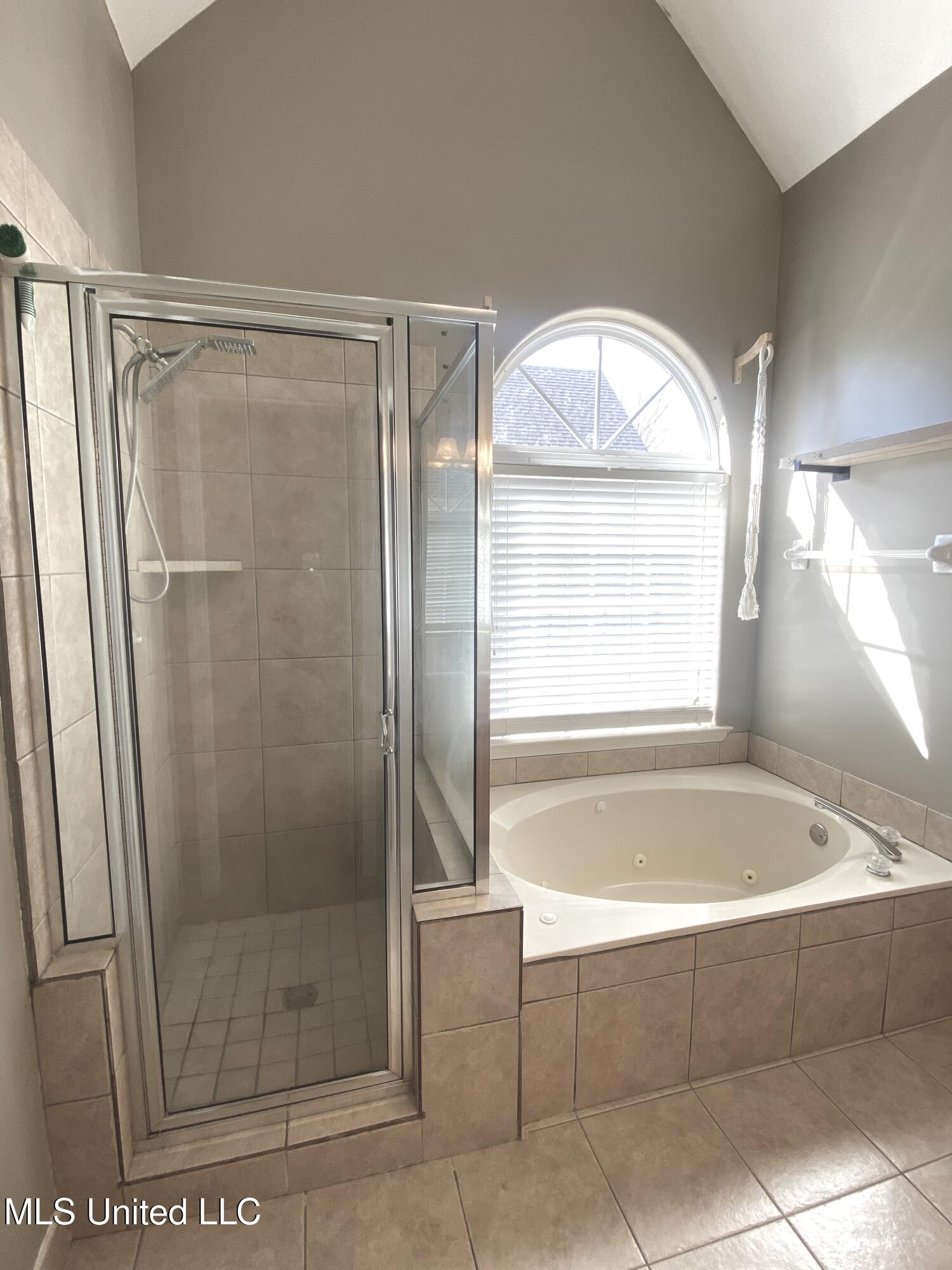 3205 Roseleigh Drive, Southaven, Mississippi image 19