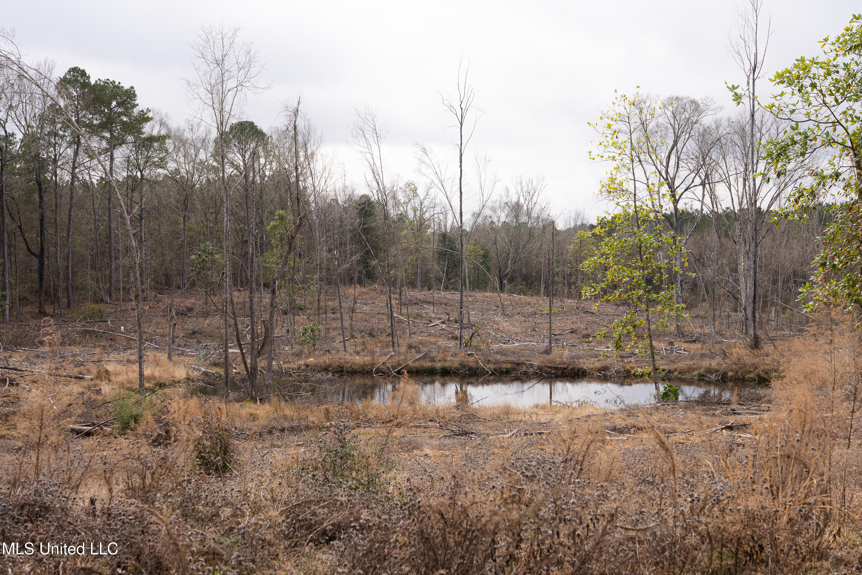 Off Of Forest Glen Dr, Laurel, Mississippi image 12