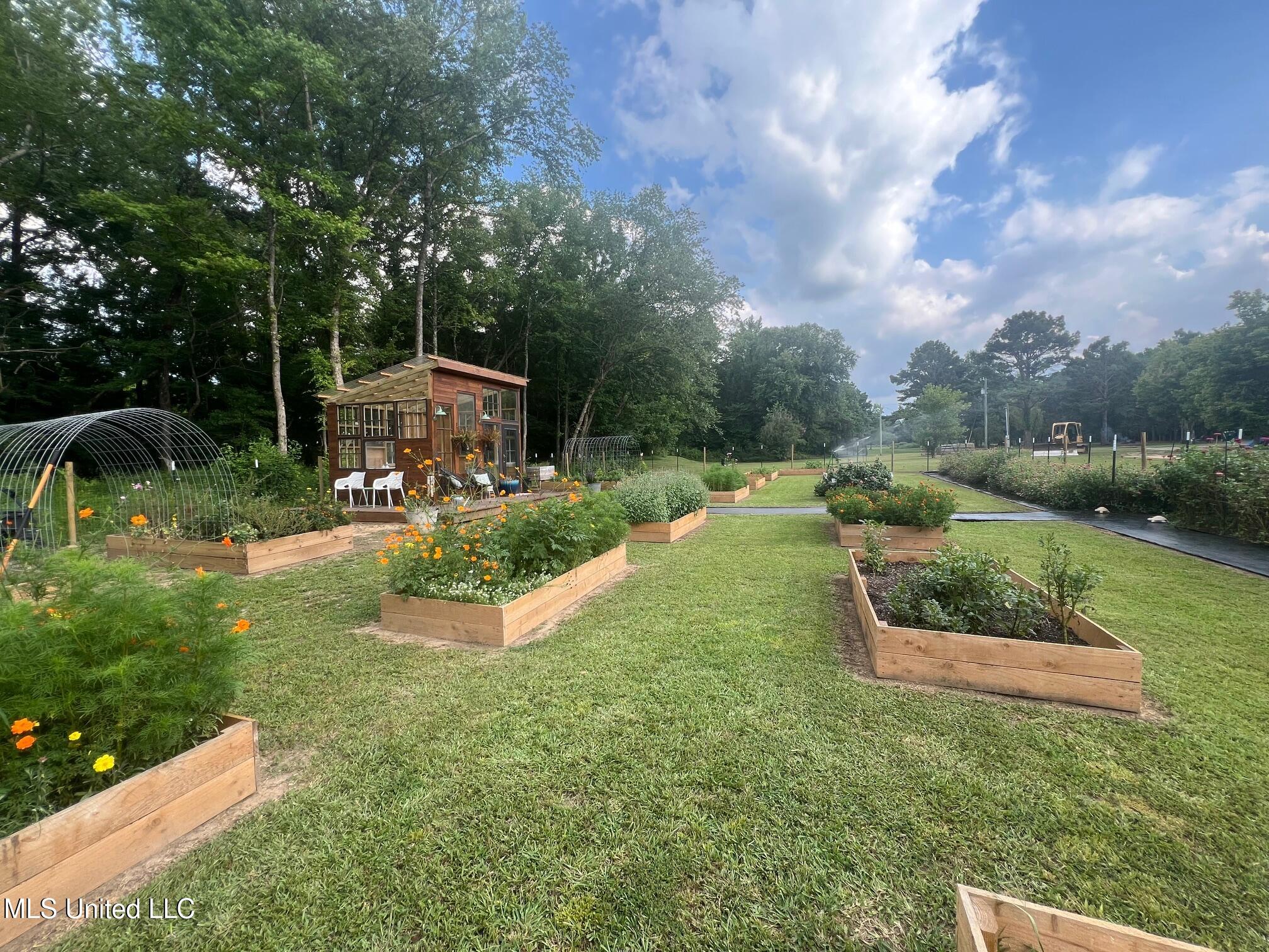 3474 Marianna Road, Holly Springs, Mississippi image 47