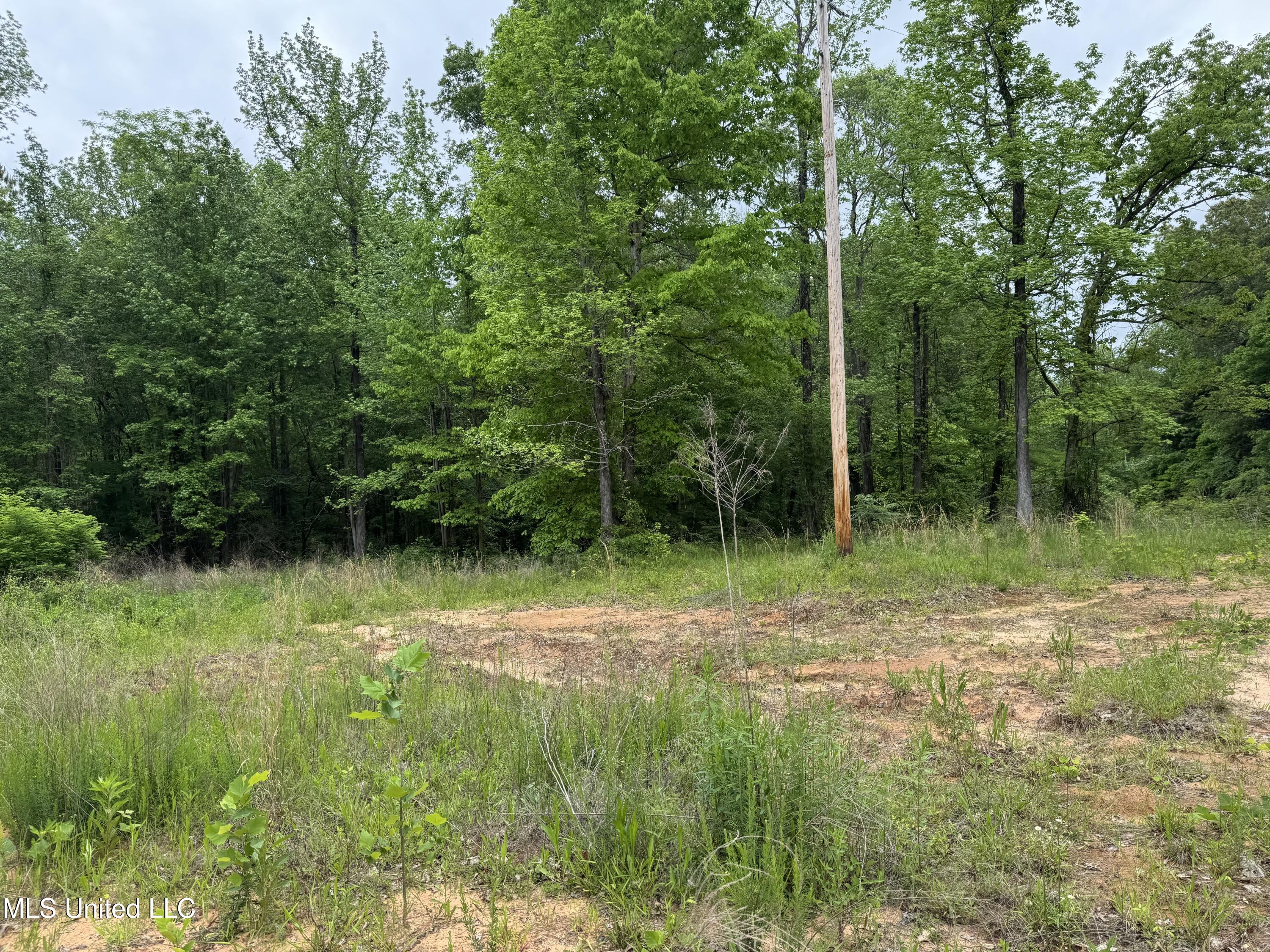 Hubbard Road, Holly Springs, Mississippi image 5
