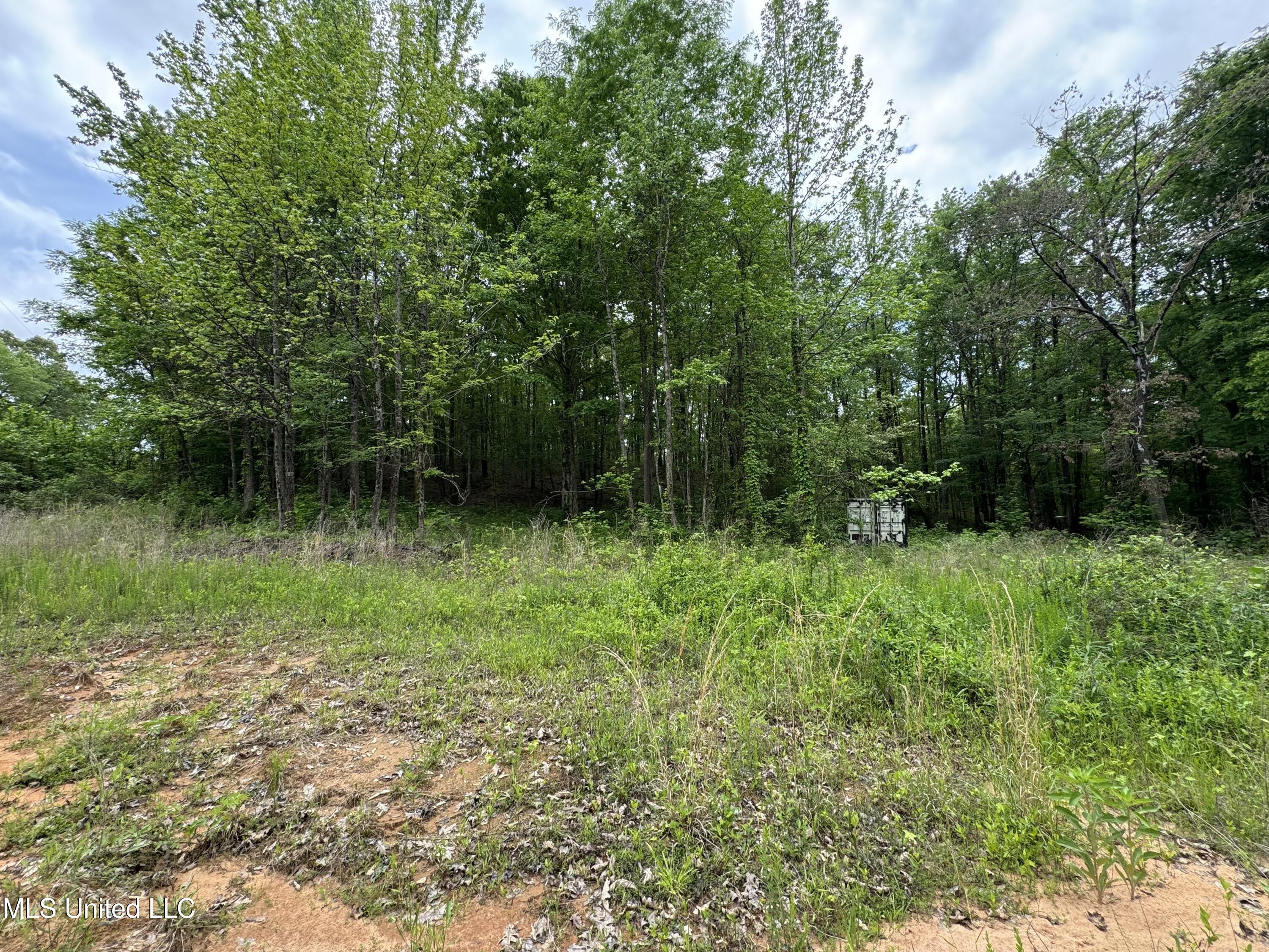 Hubbard Road, Holly Springs, Mississippi image 9