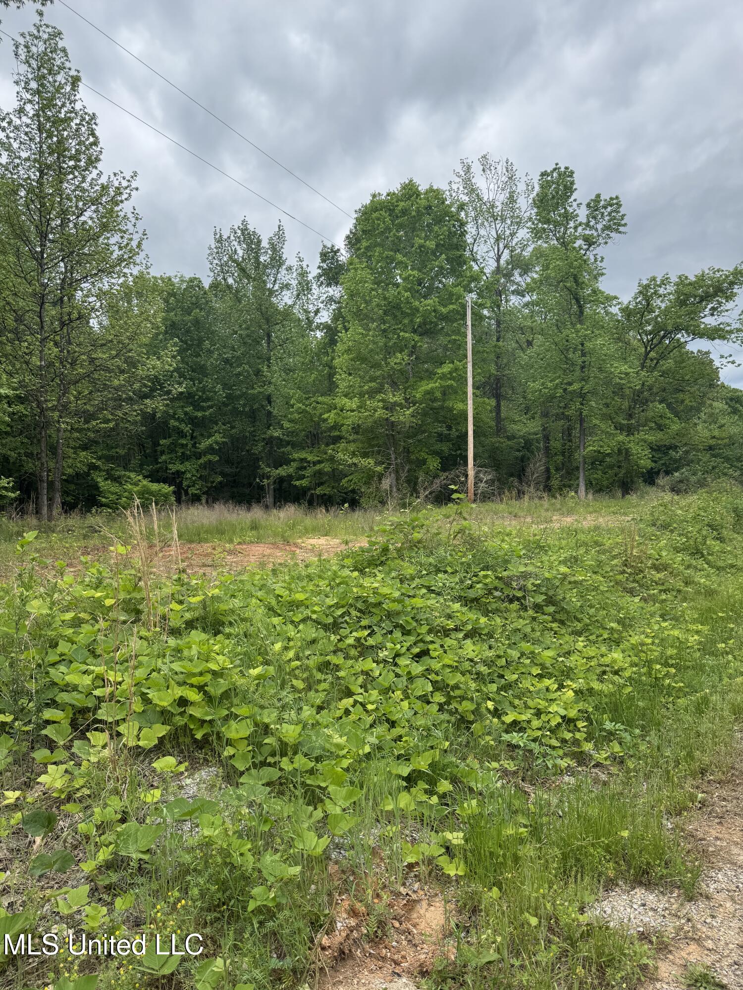 Hubbard Road, Holly Springs, Mississippi image 2