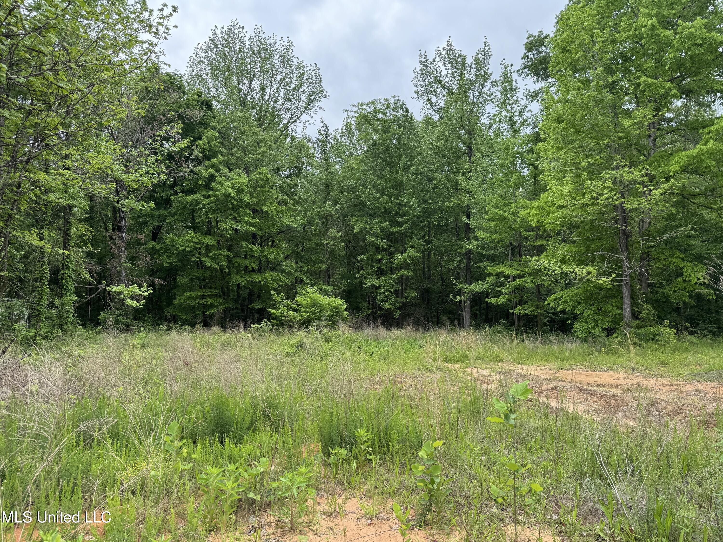 Hubbard Road, Holly Springs, Mississippi image 1