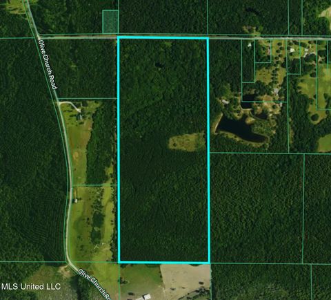 Vacant Land For Sale - Ben Byrd Road<br/> Lumberton, MS 39455