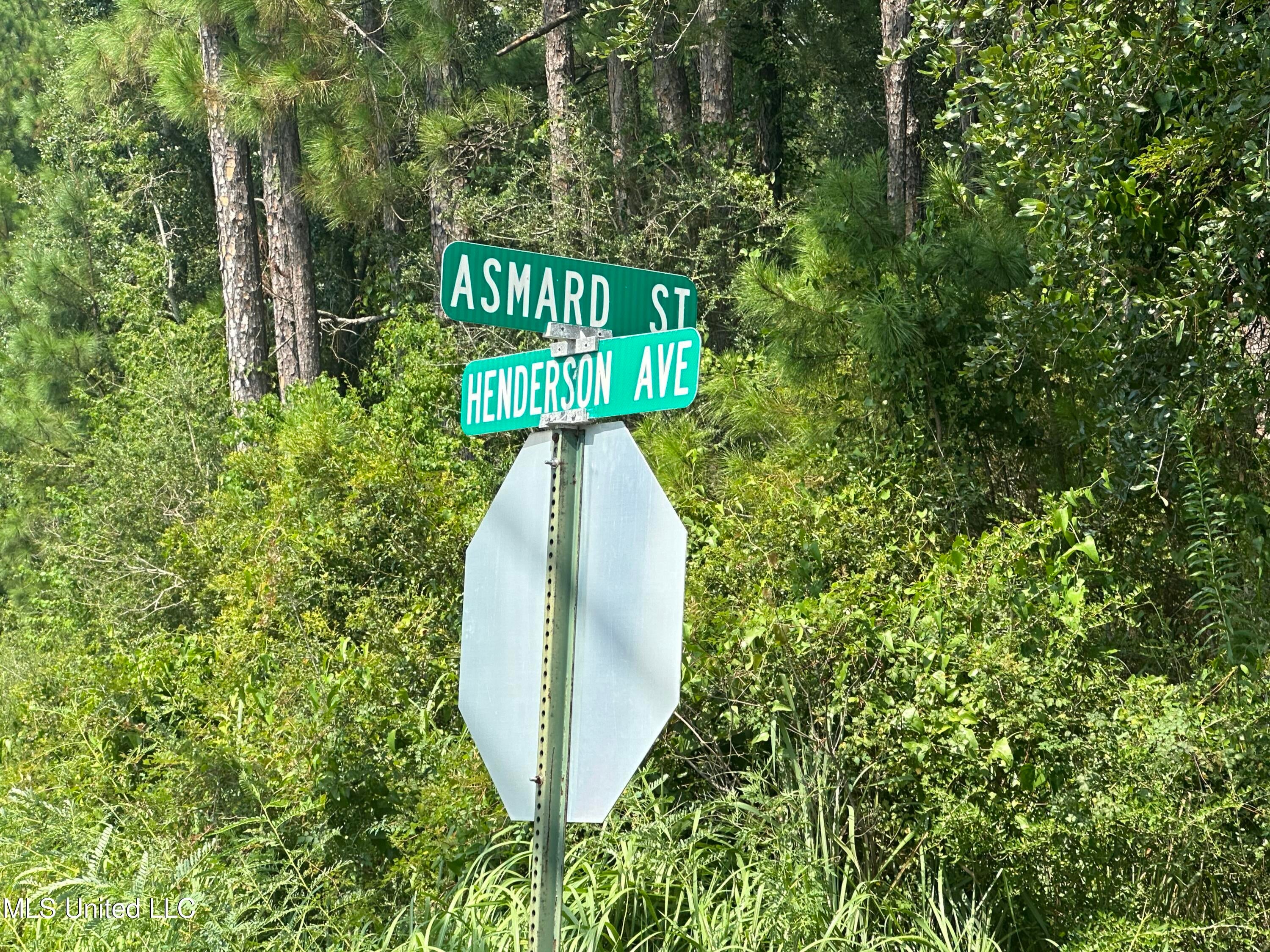 0 Asmard Street