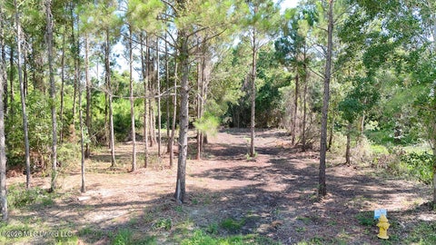Vacant Land For Sale - 11 Walthall Street<br/> Harrison County, Pass Christian, MS 39571