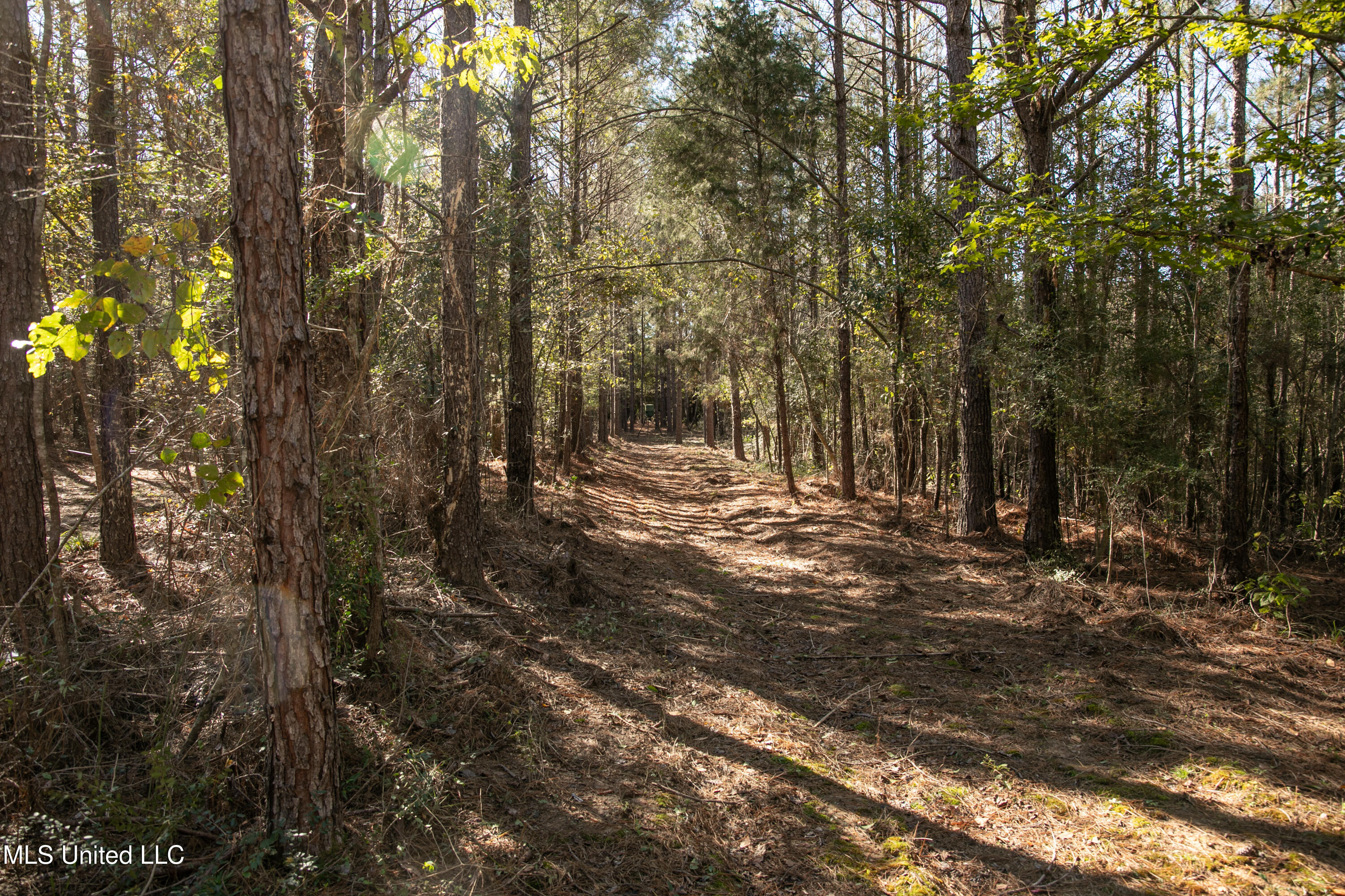 Union Road, Hazlehurst, Mississippi image 8